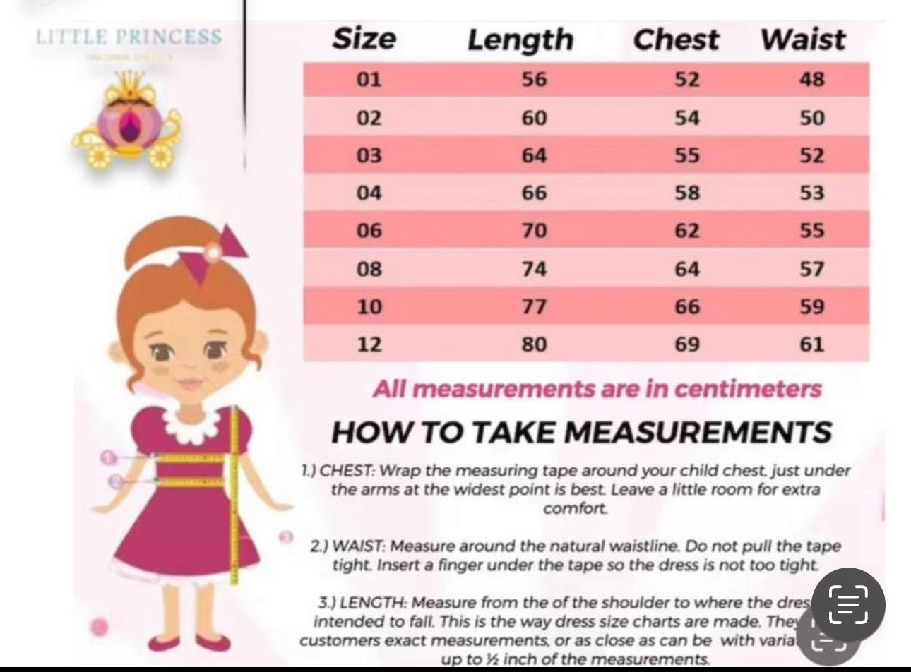 Bluey princess Dresses