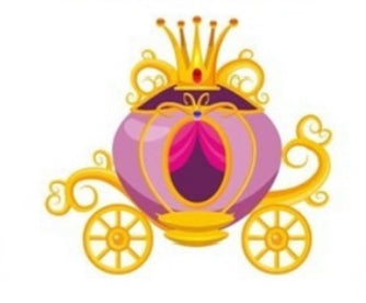 Little Princess USA