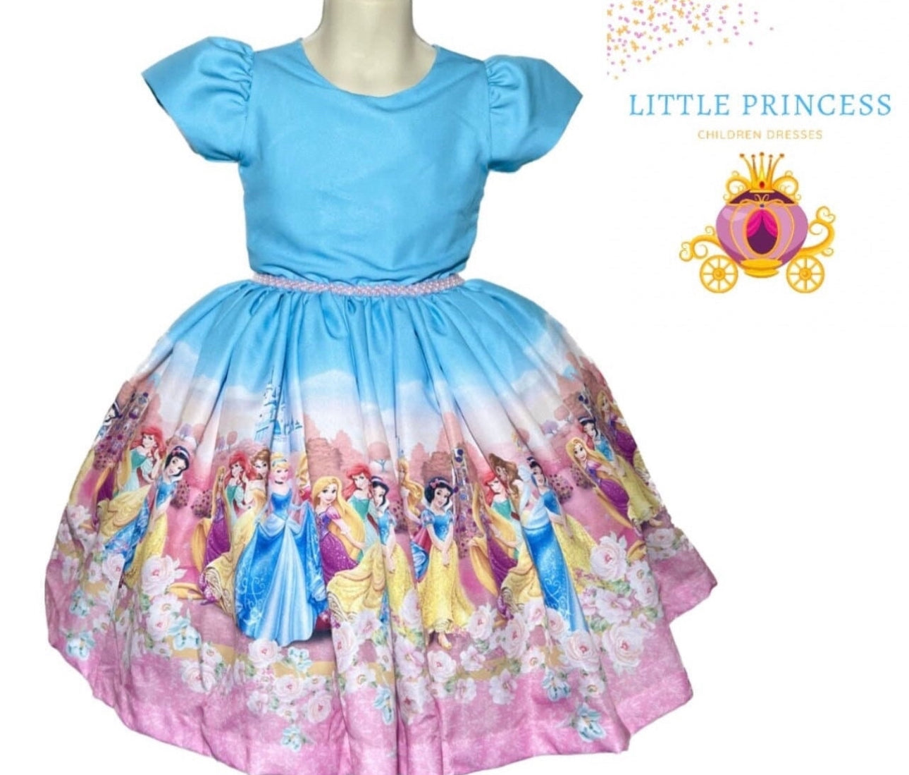 Disney princess Dresses birthday