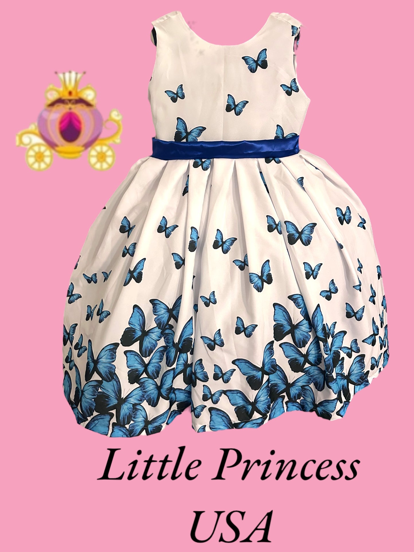 Butterfly princess Dress