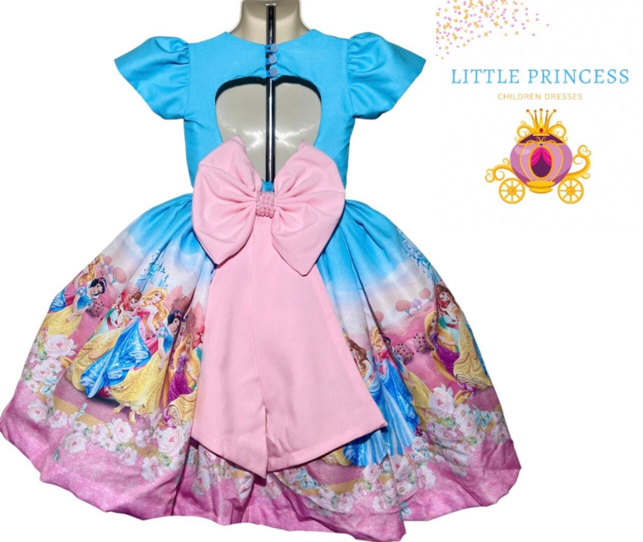 Disney princess Dresses birthday